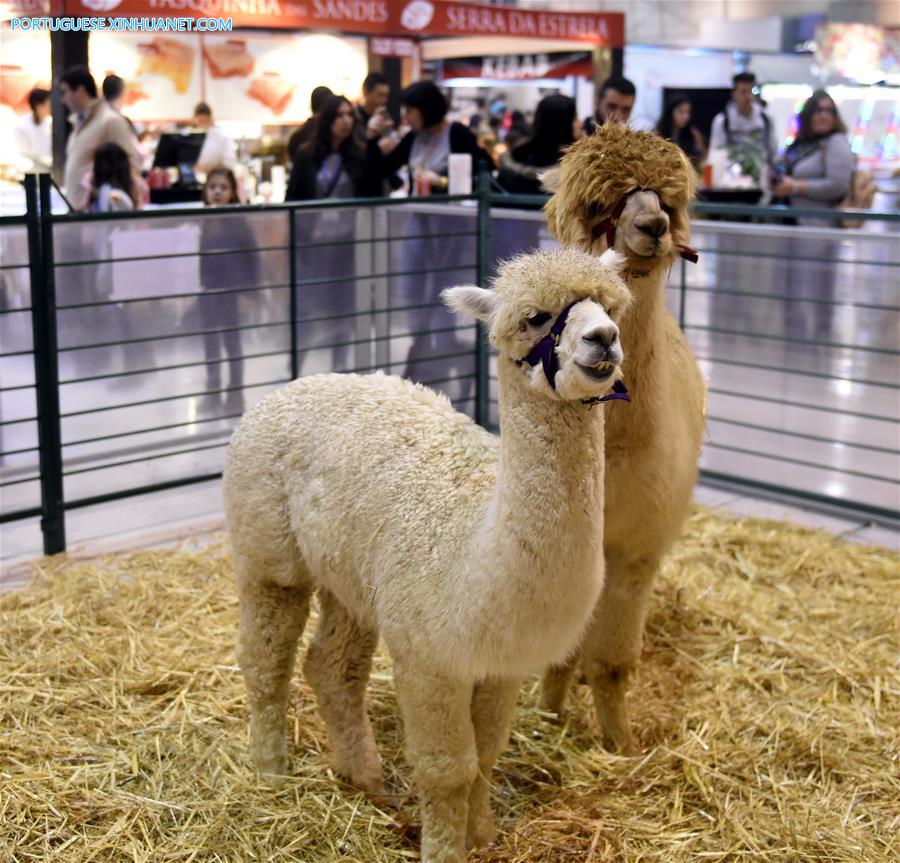 PORTUGAL-LISBON-PET SHOW