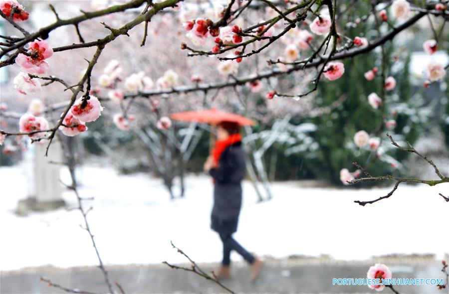 #CHINA-WEATHER-SNOW (CN)