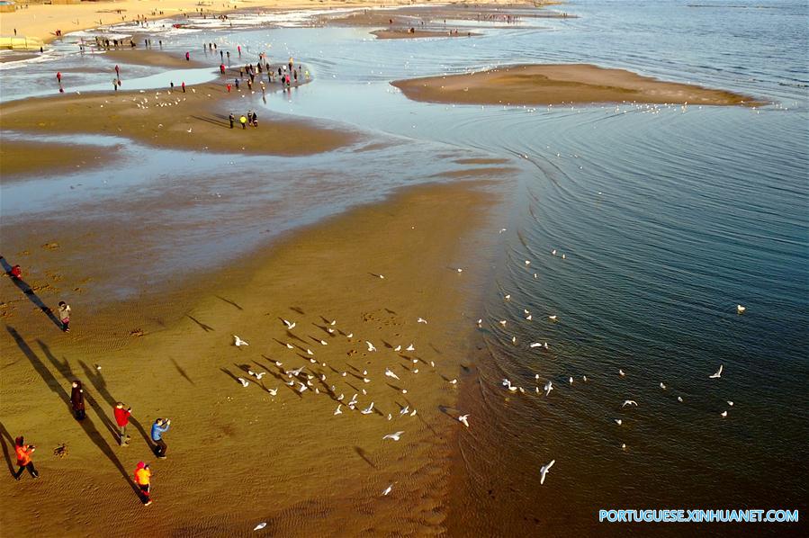 CHINA-HEBEI-SEAGULL (CN)