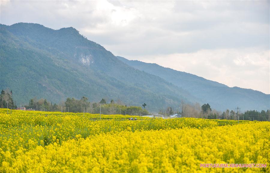 CHINA-YUNNAN-FLOWER FESTIVAL(CN)