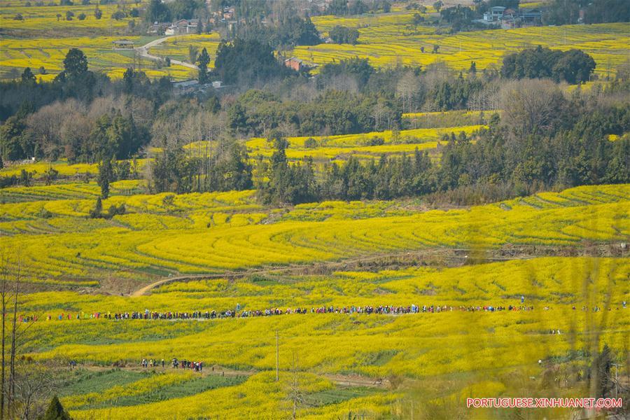 CHINA-YUNNAN-FLOWER FESTIVAL(CN)