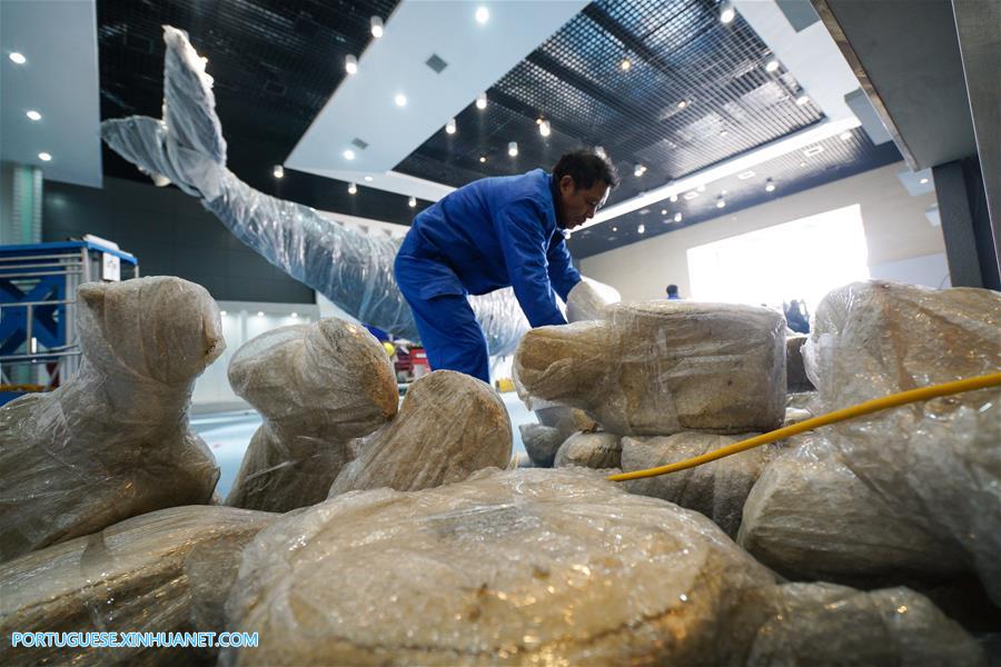 CHINA-JIANGSU-SPERM WHALE-SPECIMEN-ASSEMBLING (CN)