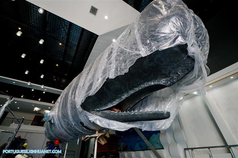 CHINA-JIANGSU-SPERM WHALE-SPECIMEN-ASSEMBLING (CN)