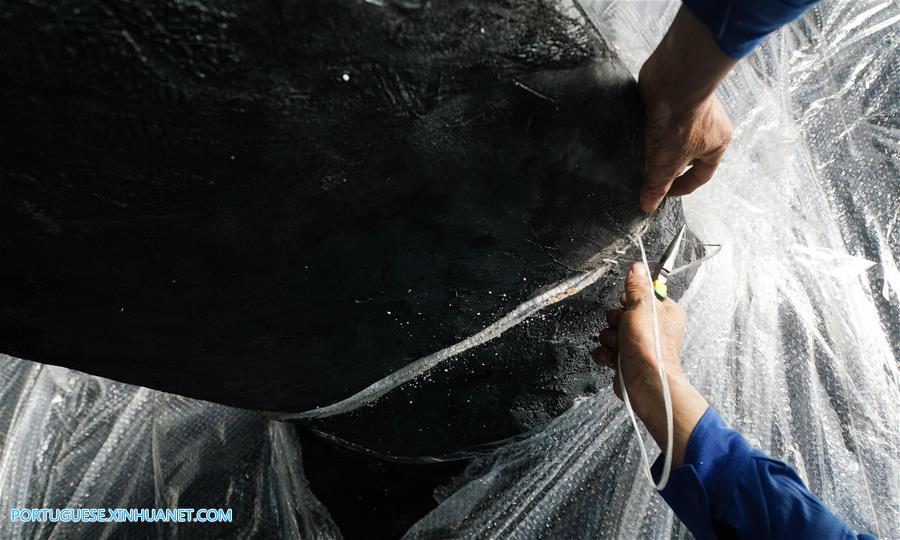 CHINA-JIANGSU-SPERM WHALE-SPECIMEN-ASSEMBLING (CN)