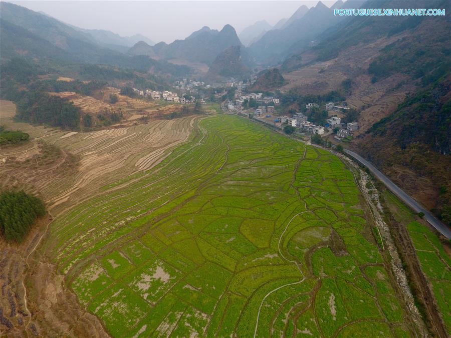 CHINA-GUANGXI-SCENERY(CN)