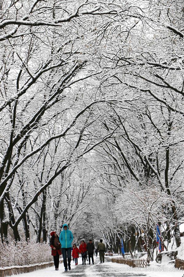 #CHINA-HEBEI-SNOWFALL (CN)