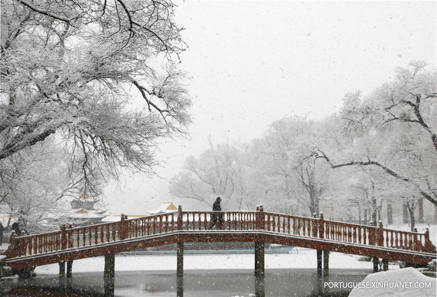 #CHINA-HEBEI-SNOWFALL (CN)