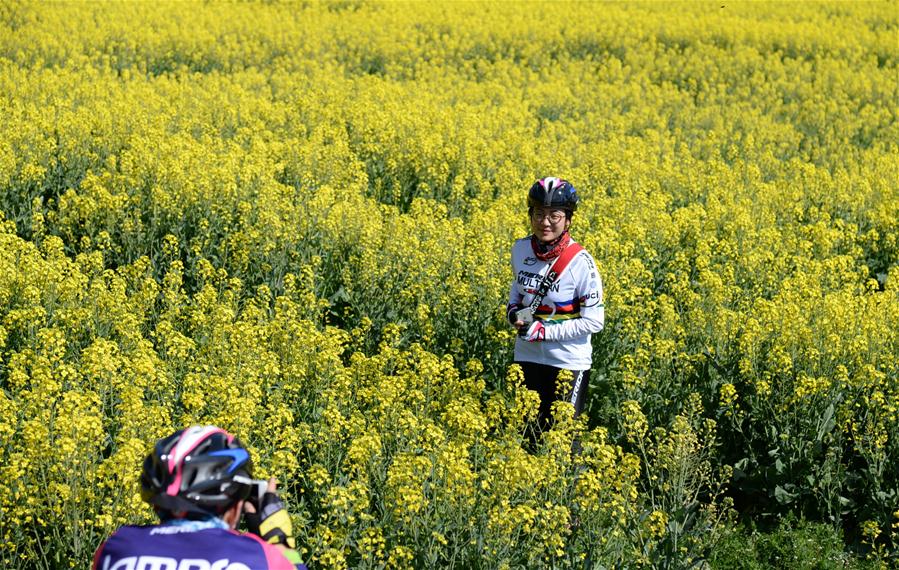 CHINA-YUNNAN-RAPE FLOWER(CN)