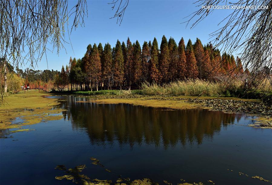 CHINA-YUNNAN-DIANCHI-SCENERY (CN)