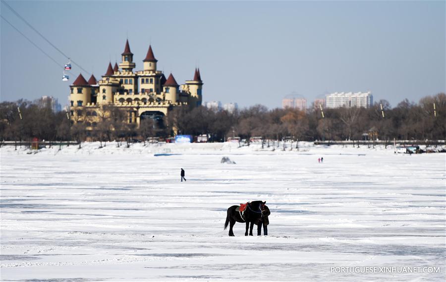 CHINA-HEILONGJIANG-HARBIN-SNOW (CN)