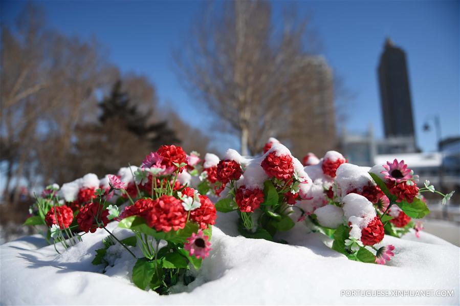 CHINA-HEILONGJIANG-HARBIN-SNOW (CN)