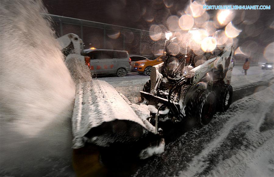 CHINA-XINJIANG-SNOWFALL (CN)