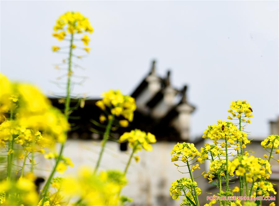 #CHINA-EARLY SPRING-SCENERY (CN)