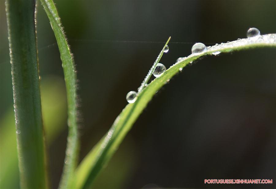 #CHINA-EARLY SPRING-SCENERY (CN)