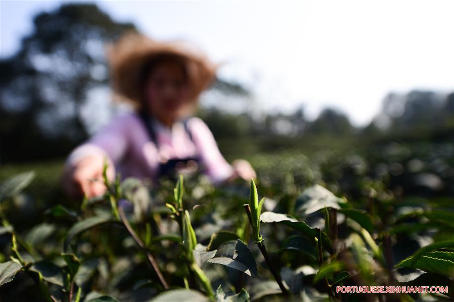 #CHINA-EARLY SPRING-SCENERY (CN)