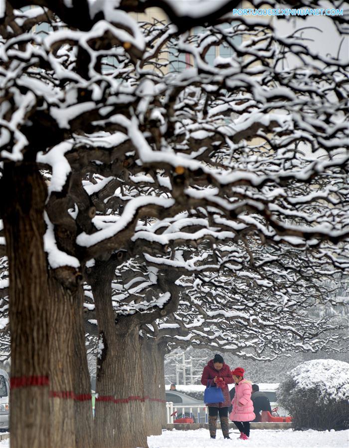 #CHINA-WEATHER-SNOWFALL (CN)