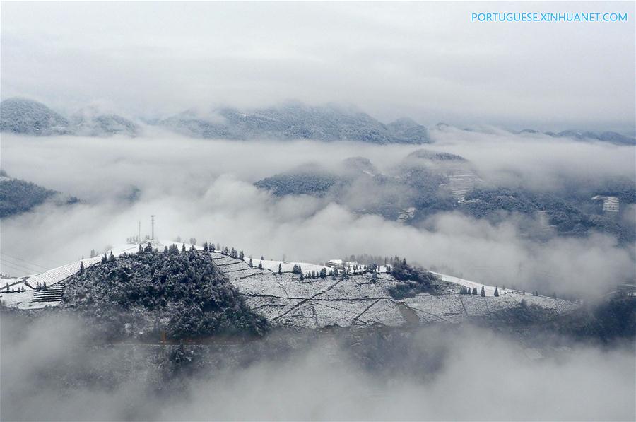 #CHINA-HUBEI-XUAN'EN-SNOW-TEA GARDEN(CN)