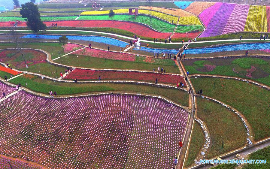 #CHINA-JIANGXI-FLOWER FIELDS-SCENERY (CN)