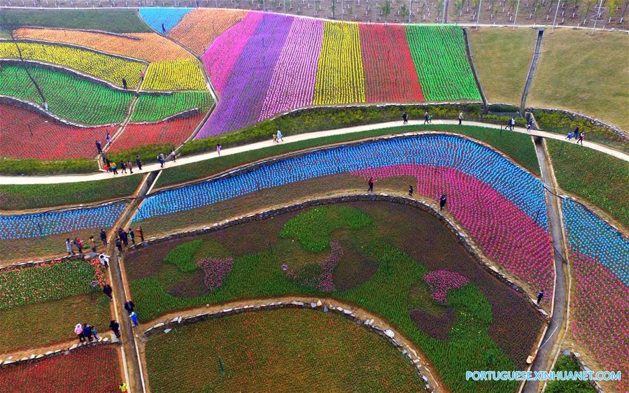#CHINA-JIANGXI-FLOWER FIELDS-SCENERY (CN)