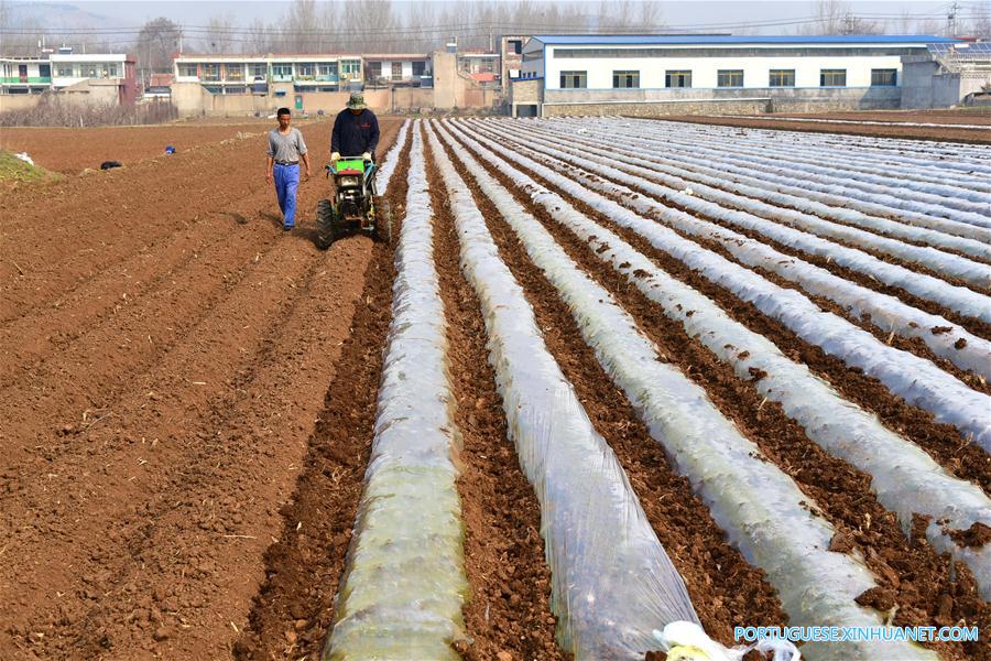 #CHINA-JINGZHE-FARM WORK (CN)