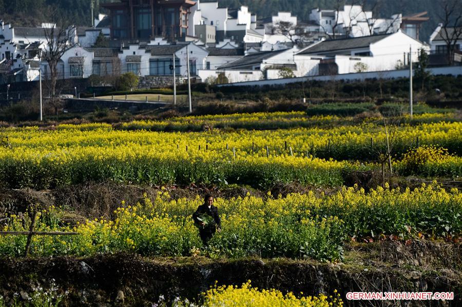 CHINA-ANHUI-VILLAGE-SCENERY (CN)