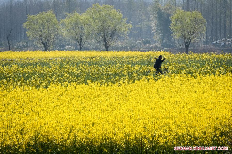 CHINA-ANHUI-VILLAGE-SCENERY (CN)