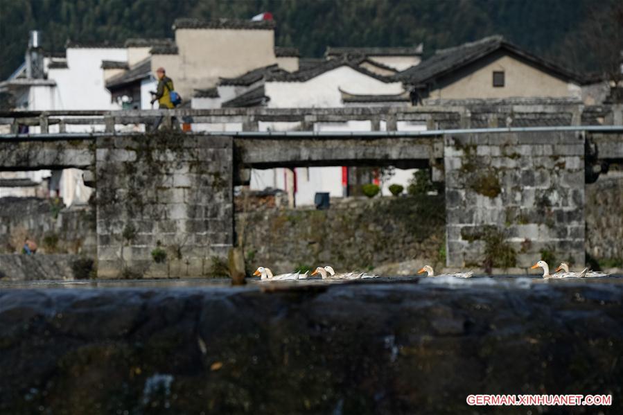 CHINA-ANHUI-VILLAGE-SCENERY (CN)