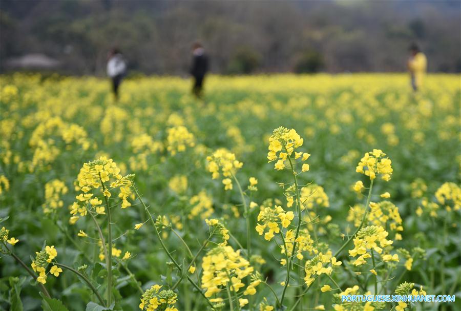 CHINA-HANGZHOU-SPRING SCENERY(CN)