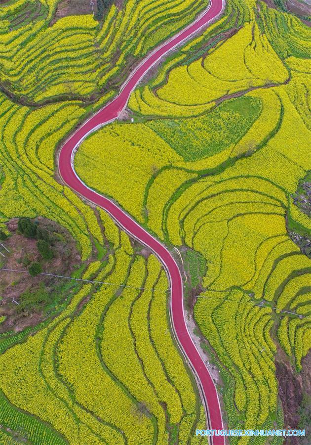 #CHINA-GUIZHOU-AERIAL PHOTO-ROAD(CN)