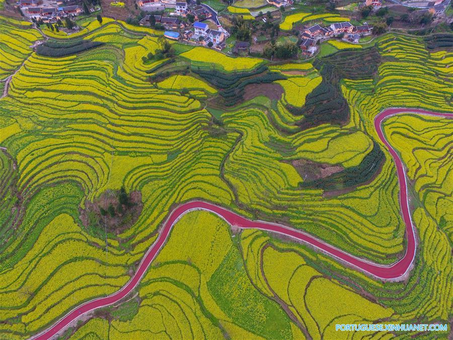 #CHINA-GUIZHOU-AERIAL PHOTO-ROAD(CN)