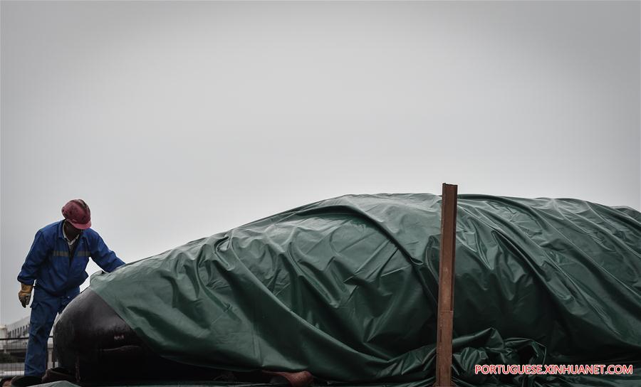 CHINA-GUANGDONG-SPERM WHALE-DEATH (CN)