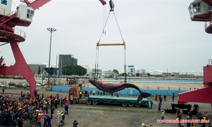 CHINA-GUANGDONG-SPERM WHALE-DEATH (CN)