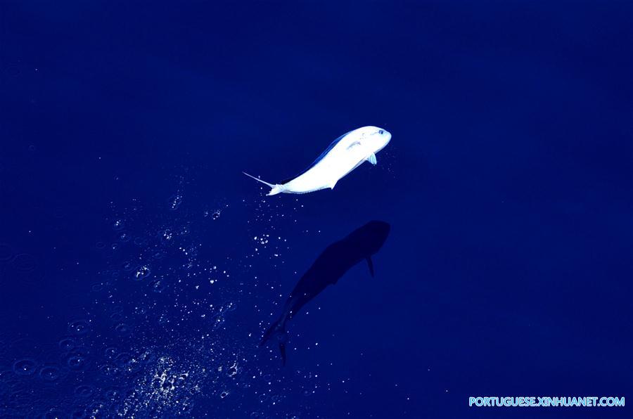 CHINA-IODP EXPEDITION-SOUTH CHINA SEA (CN)