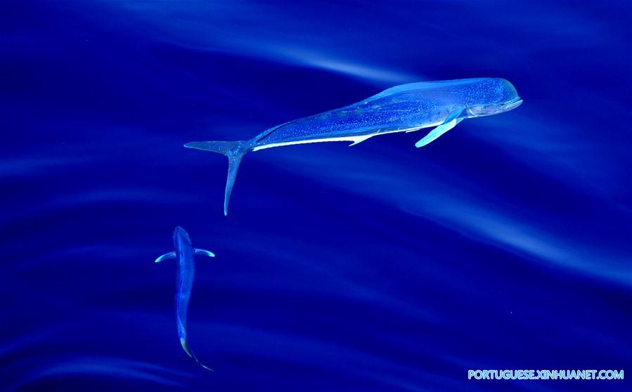 CHINA-IODP EXPEDITION-SOUTH CHINA SEA (CN)