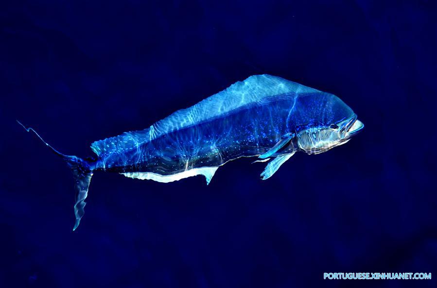 CHINA-IODP EXPEDITION-SOUTH CHINA SEA (CN)