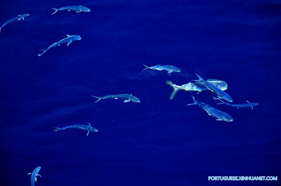 CHINA-IODP EXPEDITION-SOUTH CHINA SEA (CN)