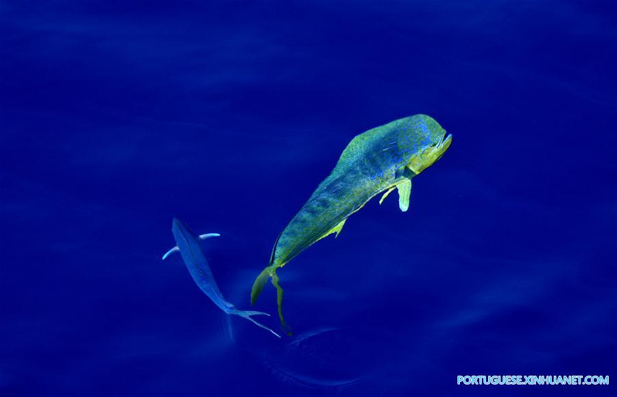 CHINA-IODP EXPEDITION-SOUTH CHINA SEA (CN)