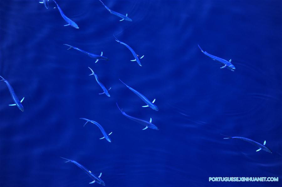 CHINA-IODP EXPEDITION-SOUTH CHINA SEA (CN)