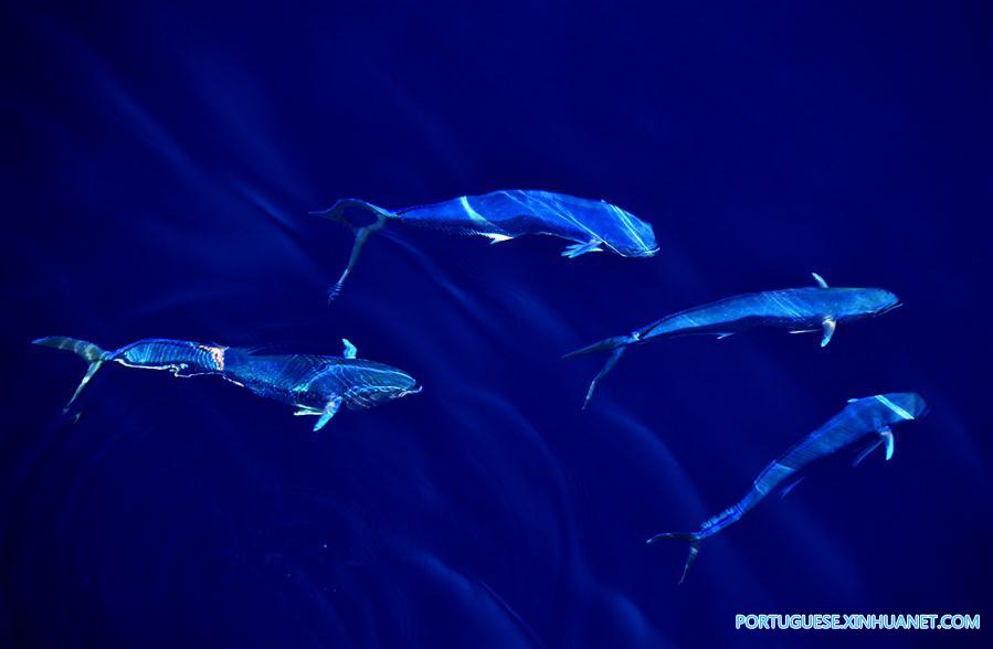 CHINA-IODP EXPEDITION-SOUTH CHINA SEA (CN)