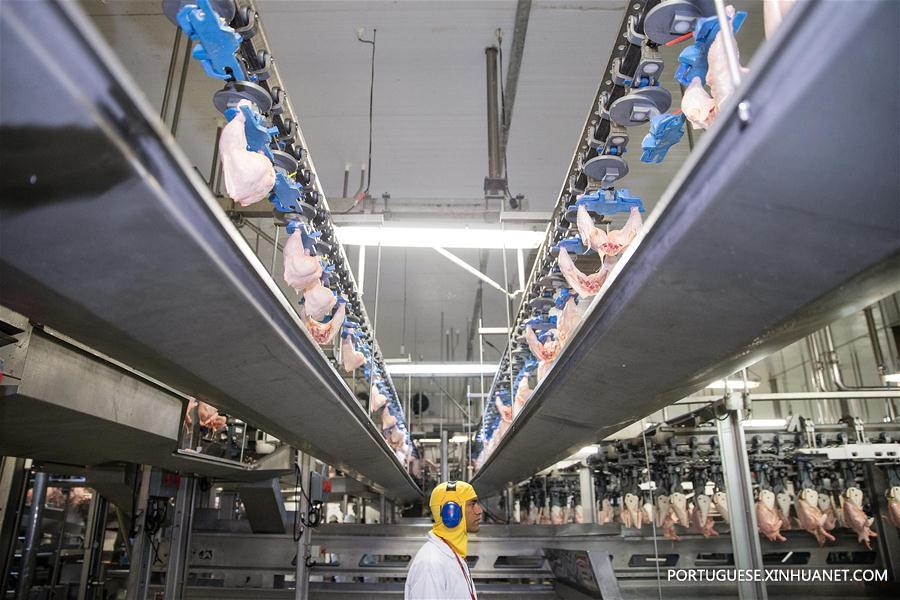 BRAZIL-RIO VERDE-BRF-PLANT