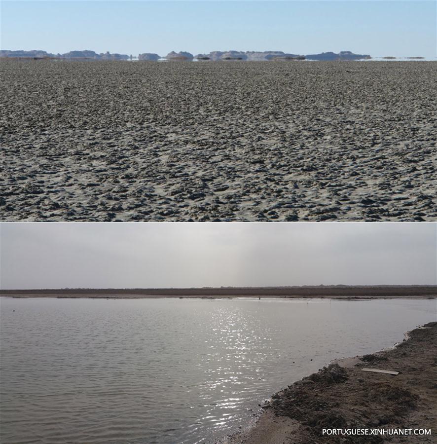 CHINA-GANSU-DUNHUANG-LAKE-CONSERVATION (CN)