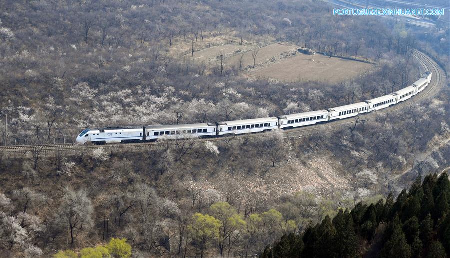 CHINA-BEIJING-SPRING-TRAIN (CN)