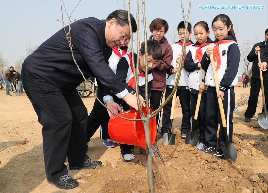 CHINA-BEIJING-XI JINPING-TREE PLANTING (CN)