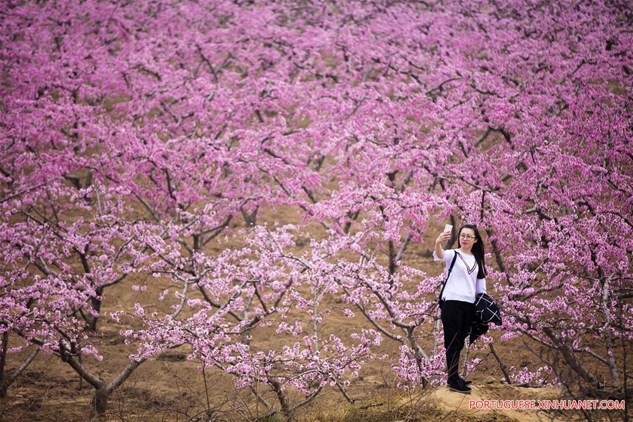 #CHINA-SPRING-FLOWERS (CN)