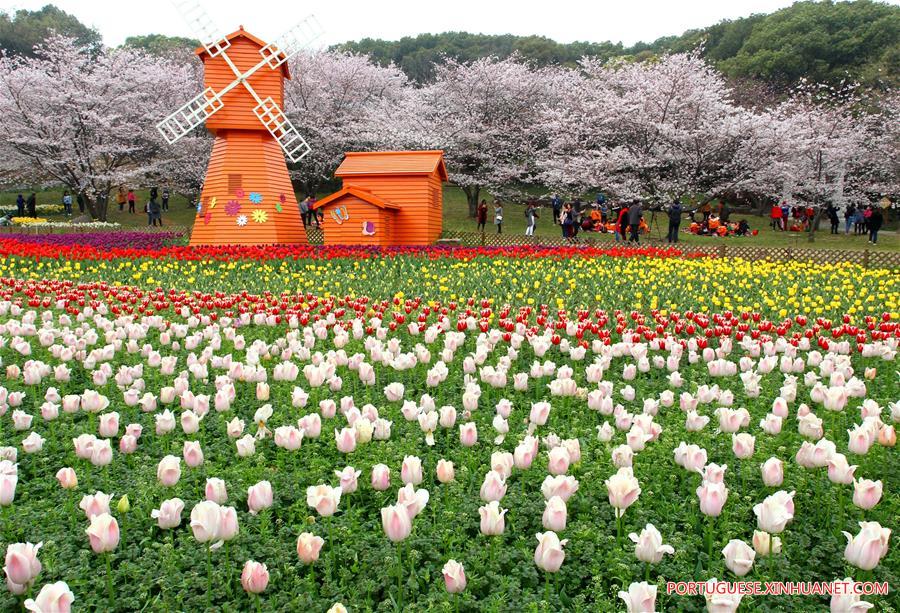 #CHINA-SPRING-FLOWERS (CN)