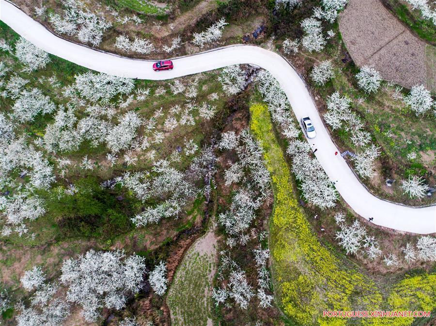 #CHINA-SPRING-FLOWERS (CN)