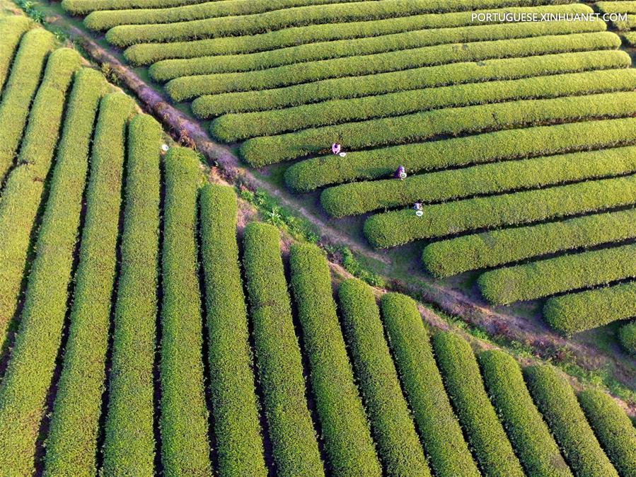 #CHINA-AERIAL VIEW-SPRING SCENERY (CN)