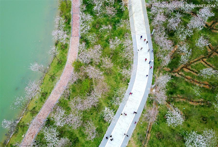 #CHINA-AERIAL VIEW-SPRING SCENERY (CN)