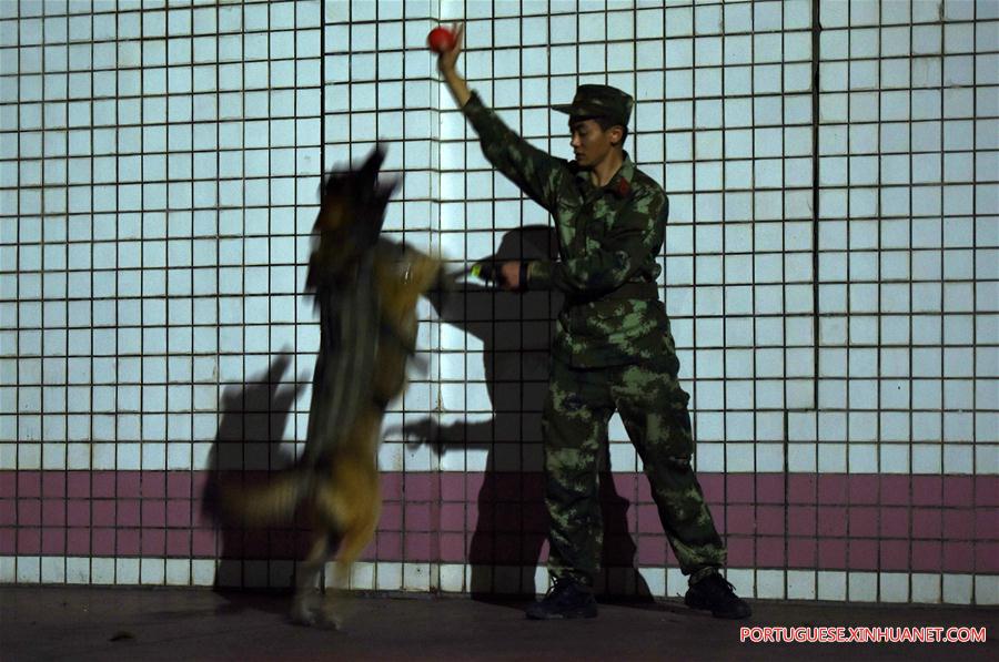 #CHINA-GUANGDONG-POLICE DOG-NIGHT TRAINING (CN)