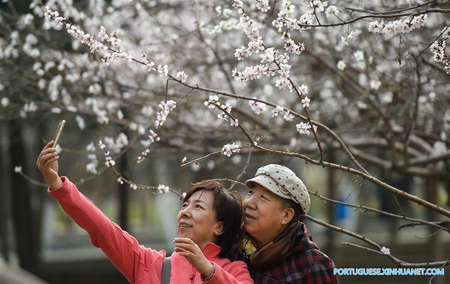 CHINA-INNER MONGOLIA-PEACH BLOSSOM (CN)